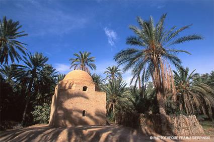 Sjour Combin Djerba - Tozeur / Djerba -Tozeur / Tunisie