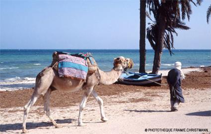 Sjour Combin Djerba - Tozeur / Djerba -Tozeur / Tunisie