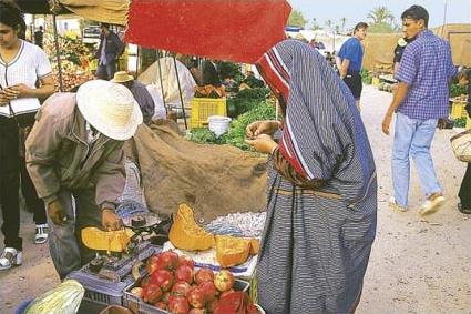 Sjour Combin Djerba - Tozeur / Djerba -Tozeur / Tunisie