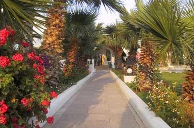 Hotel Royal Thalasso Miramar 4 **** / Skans / Tunisie