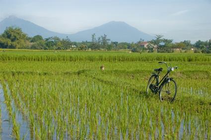 Les Circuits  Jogjakarta / Art de Vivre  la javanaise / Indonsie