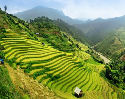 Les Excursions  Jogjakarta / Une Java  vlo / Java
