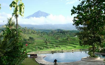 Hotel Ijen Resort 4 **** / Randu Agung / Java