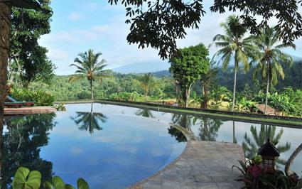 Hotel Ijen Resort 4 **** / Randu Agung / Java