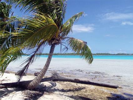 Rangiroa / Excursions / Le Lagon Bleu / Polynsie Franaise