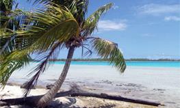 Sjours Hotels  Rangiroa / Les Tuamotu / Polynsie Franaise