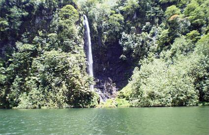 Tahiti / Excursions / Tahiti et ses senteurs tropicales / Polynsie Franaise