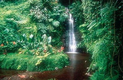 Tahiti / Excursions / Nature de la cote ouest de Tahiti / Polynsie Franaise