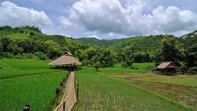 Les Excursions  Luang Prabang / Les chutes de Khouang Sy / Laos