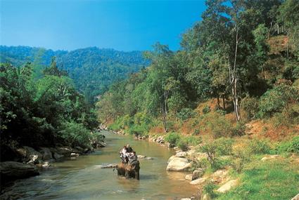 Les Excursions  Luang Prabang / Sur la piste des tigres / Laos