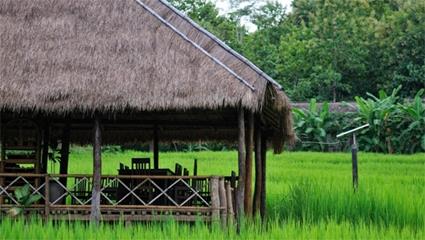 Le Kamu Lodge / Mkong Nord / Laos