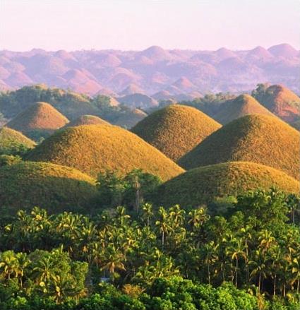 Les Circuits aux Philippines / Bohol de Cacao / Philippines