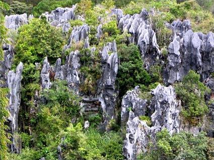 Les Circuits aux Philippines / Terres Sauvages / Philippines