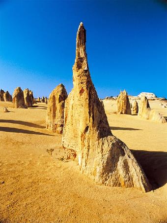 Perth / Excursions Incontournables / Journe dans les Pinnacles / Australie Occidentale