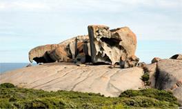 Kangaroo Island / Australie du Sud / Australie