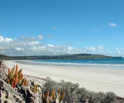 Circuit  la Dcouverte de Kangaroo Island / Kangaroo Island / Australie