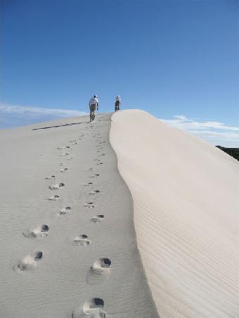 Circuit  la Dcouverte de Kangaroo Island / Kangaroo Island / Australie