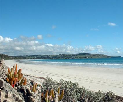 Circuit Kangaroo Island en Car et Ferry / Kangaroo Island / Australie