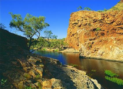 Alice Springs / Excursions Incontournables / Kings Canyon / Australie