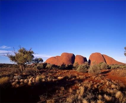 Ayers Rock / Excursions Insolites / Eveil du Dsert / Australie