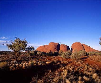 Circuit Puzzule Ayers Rock / Le Centre Rouge / Australie 