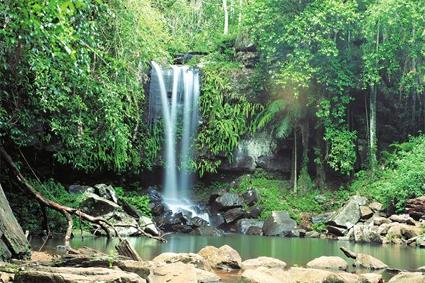 Autotour La Maison dans les arbres / Cairns / Le Queensland