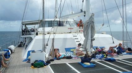 Croisire Esprit Dcouverte en Catamaran  Michaelmas Cay / Le Queensland / Australie