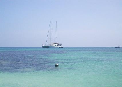 Croisire Esprit Dcouverte en Catamaran  Michaelmas Cay / Le Queensland / Australie