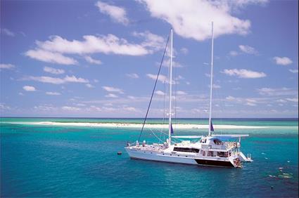 Croisire Esprit Sportif - Michaelmas Cay et Paradise Reef / Le Queensland / Australie