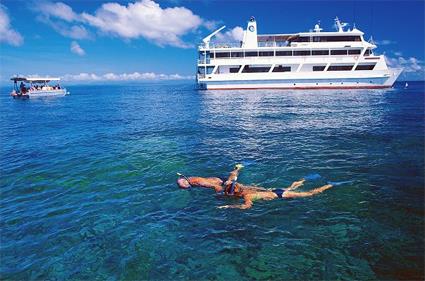 Croisire La Grande Barrire de Corail en Yacht  bord du Coral Princess / Cairns - Townsville / Le Queensland