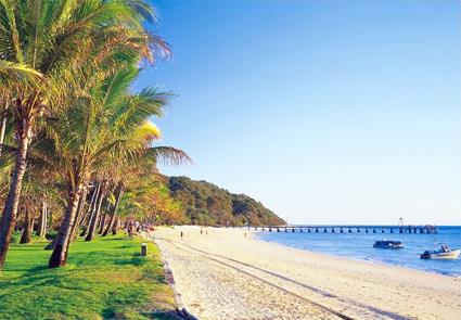Circuit Puzzle Cairns - Htel Palm Cove (Plage) / Le Queensland / Australie