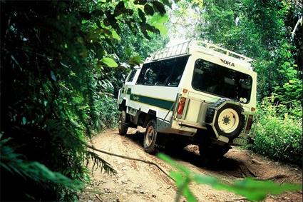 Circuit Safari 5 Jours en 4 x 4 au Cap York / Pninsule du Cap York / Cairns