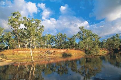 Circuit Safari 5 Jours en 4 x 4 au Cap York / Pninsule du Cap York / Cairns