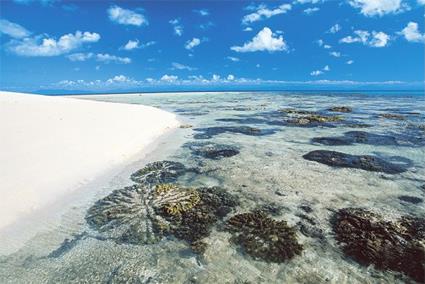 Circuit Safari 5 Jours en 4 x 4 au Cap York / Pninsule du Cap York / Cairns