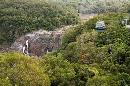 Cairns / Les Excursions Incontournables et Insolites / Journe  Kuranda / Queensland
