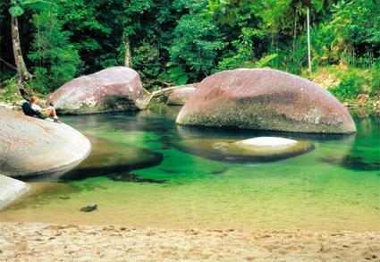 Cairns / Les Excursions Incontournables et Insolites / Rencontre Nature / Queensland