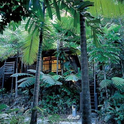 Hotel Cape Tribulation Resort & Spa 4 **** / Cape Tribulation / Queensland