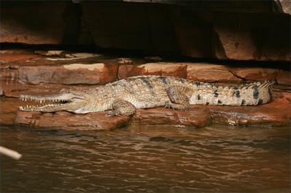 Autotour Billabongs et Crocos / Le Top End / Australie 