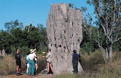 Autotours Le Grand Tour / Nouvelle Galles du sud / Australie