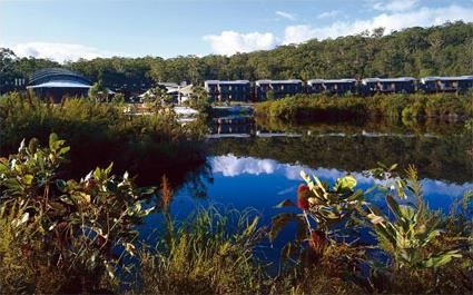 Safari sur Fraser Island / Fraser Island / Queensland