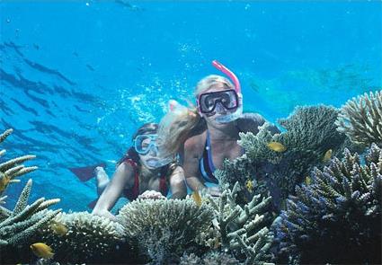 Heron Island / Grande Barrire de Corail / Queensland