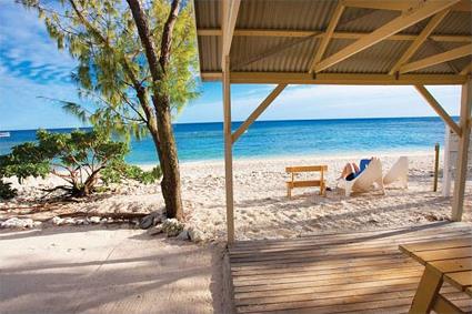 Lady Elliot Island / Grande Barrire de Corail / Queensland