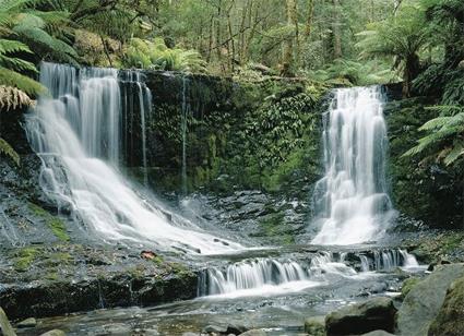 Autotours La Cte Occidentale / Hobart / Tasmanie