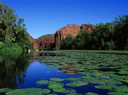 Darwin / Excursions Incontournables / Journe  Kakadu / Australie