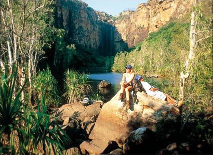 Darwin / Excursions Incontournables / Journe  Litchfield / Australie