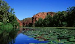 Parc National de Kakadu / Le Top End / Australie