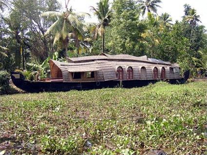 Les Circuits  Cochin / Epices et cocotiers / Inde du sud