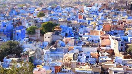 Circuit Priv en Inde du Nord / Un Rajasthan buissonnier / Inde