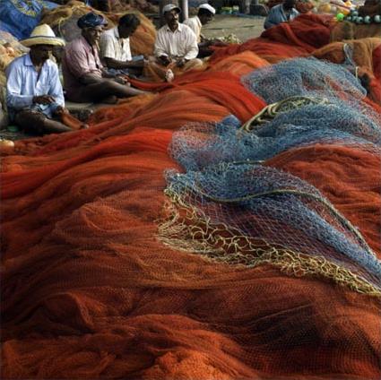 Circuit Priv en Inde du Sud / Balade au Krala / Inde