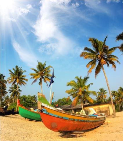 Goa et sa rgion Les Excursions / Soleil, Mer et Poissons / Inde du sud